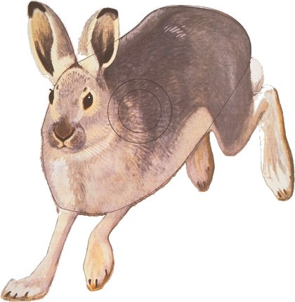 Hare Bågskytte 34x34cm papper