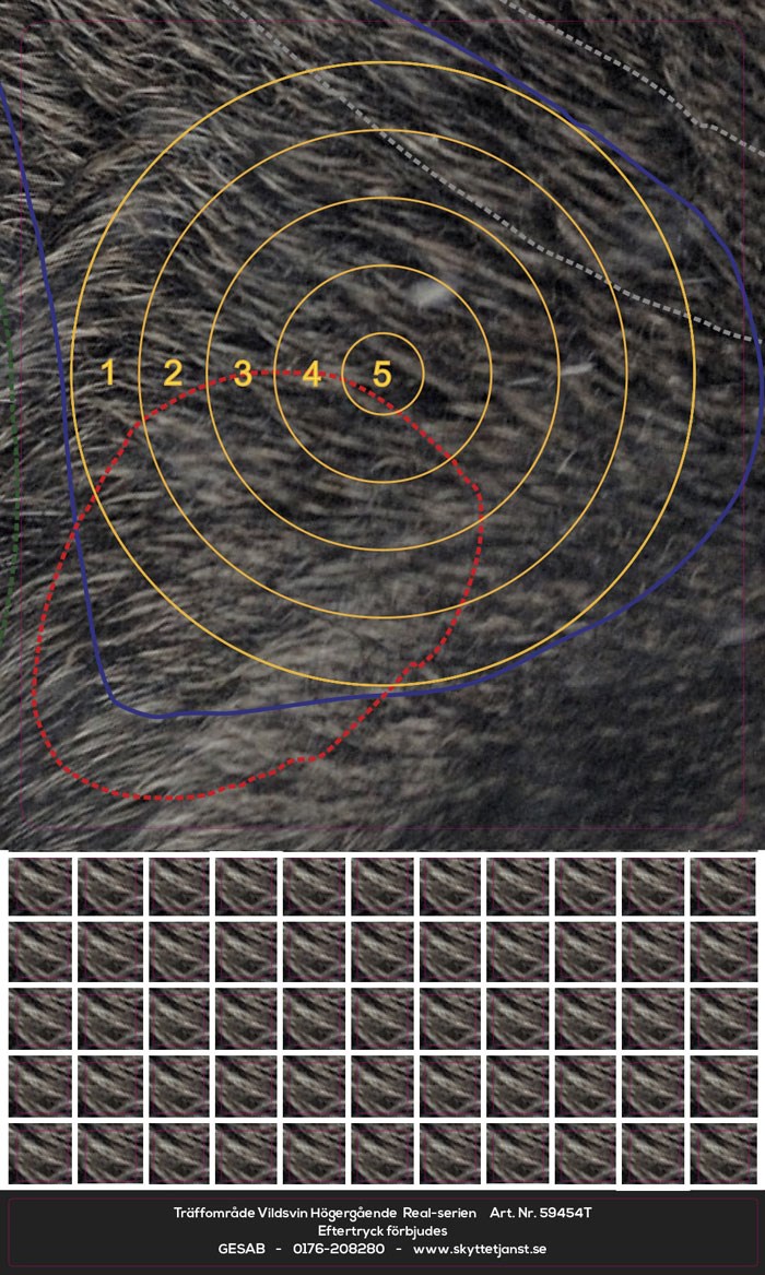 Träffområde Vildsvin höger Real-serien